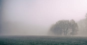 mist overlast
